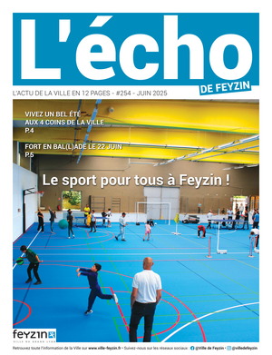 Echo Feyzin 252 UNEWEB