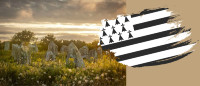 Bretagne Médiathèque vf